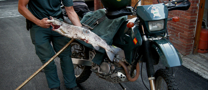 El Seprona imputa a tres furtivos por pesca ilegal en el ro Asn