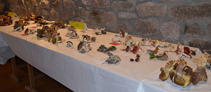 Las setas y los hongos fueron protagonistas en Los Carabeos