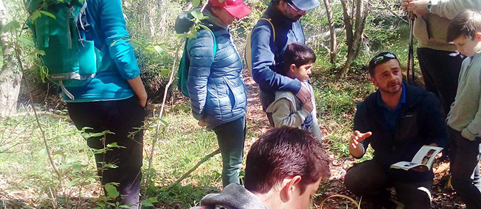 De setas por Valderredible