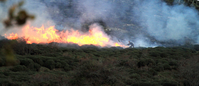 Sofocado un incendio forestal en Cervatos