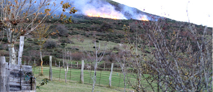 Sofocado un incendio forestal en Cervatos
