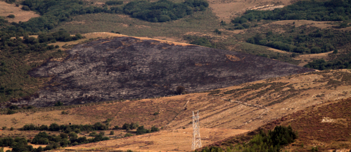 Sofocado un incendio forestal en las proximidades de Matamorosa