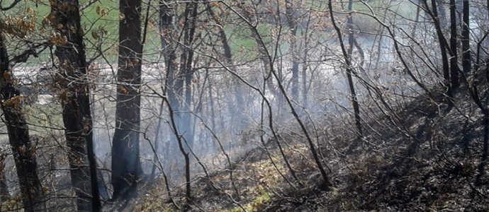 Sofocados dos pequeos incendios en Caeda y Celada de los Calderones