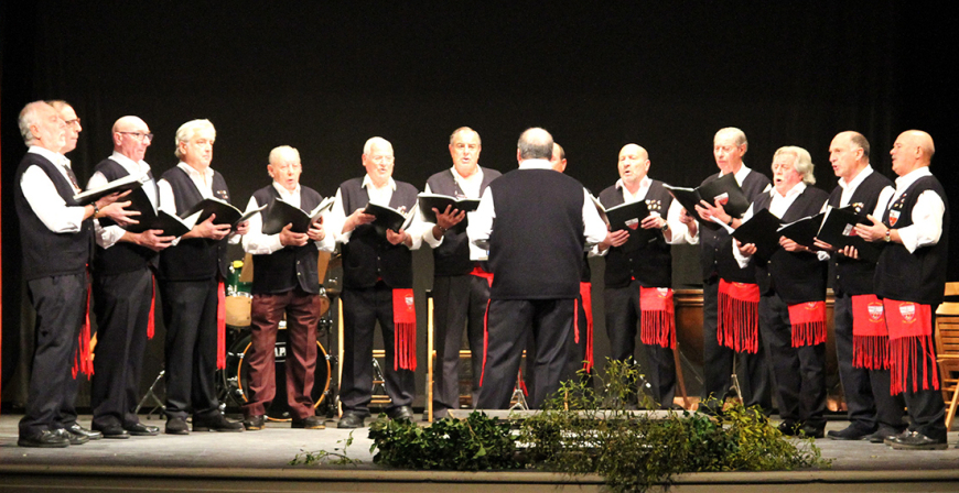 Los sones navideos se aduearn el prximo domingo del Teatro Principal de Reinosa