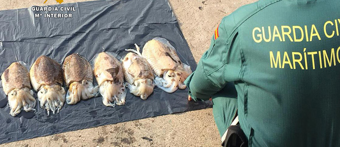 Sorprendido un nuevo furtivo pescando cachn en la Baha de Santander