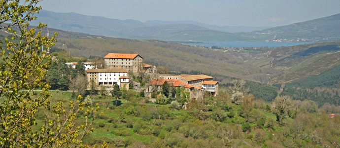 Subasta de pinos en el cerro de Montesclaros