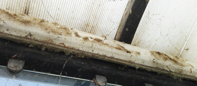Suciedad en el puente de acceso a las fbricas
