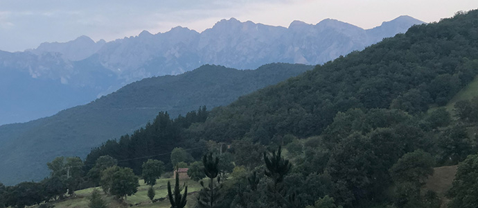 La superficie de bosques sostenibles crece un 4,5 por ciento en Cantabria