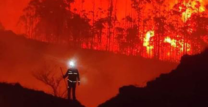 La superficie quemada por incendios forestales supera las 14.000 hectreas en Cantabria en 2021