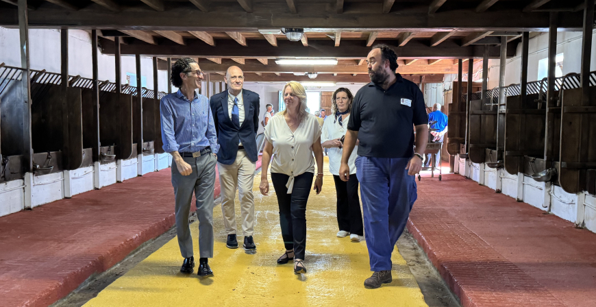 Susinos apuesta por el proyecto de pastoreo dirigido en ovino y caprino que se desarrolla en la Finca La Jerrizuela