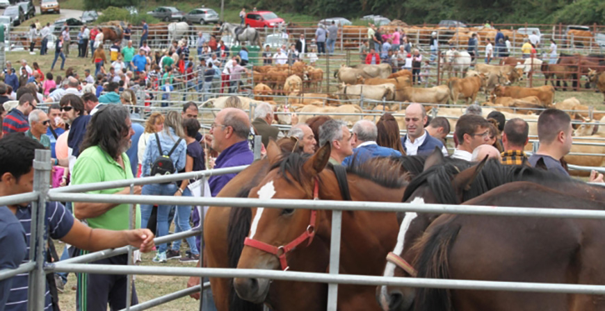 Suso cancela la Feria de Ganado de Nuestra Seora de Espinilla y las fiestas de Nuestra Seora del Labra