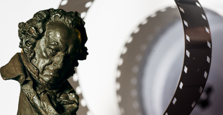 El Teatro Principal proyecta este viernes una seleccin de cortometrajes nominados a los Goya