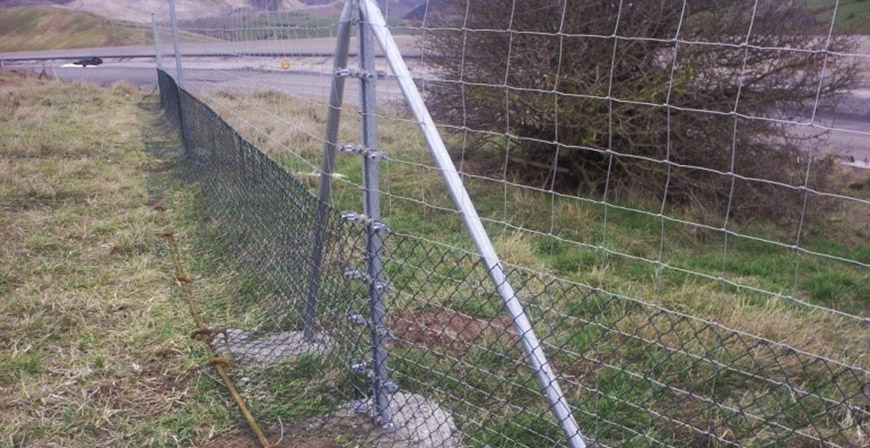 Transportes destina 209.062 euros al refuerzo del cerramiento contra atropellos de fauna en varias carreteras cntabras