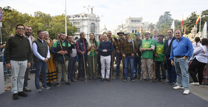La Trashumancia se reivindica por las calles ms cntricas de Madrid