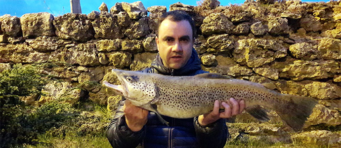 Una trucha de 3,357 kg