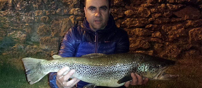 Una trucha de 3,357 kg