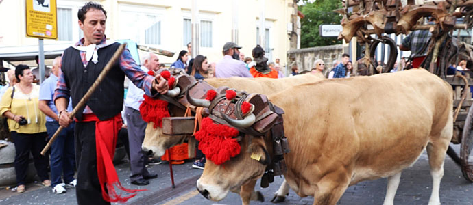 Turismo solicita a Reinosa toda la informacin sobre el Da de Campoo