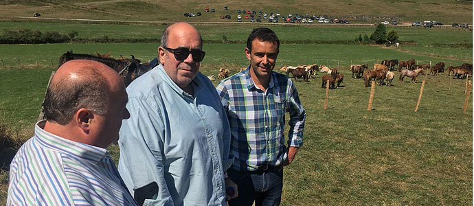 Vacuno, caballar, ovino y caprino en San Miguel de Aguayo