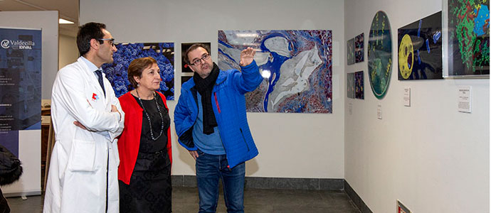 Valdecilla acoge una exposicin fotogrfica del IDIVAL para divulgar la investigacin cientfica a travs de la imagen