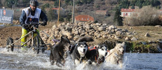 Valderredible acoger el Campeonato de Espaa de Mushing Sprint de Tierra