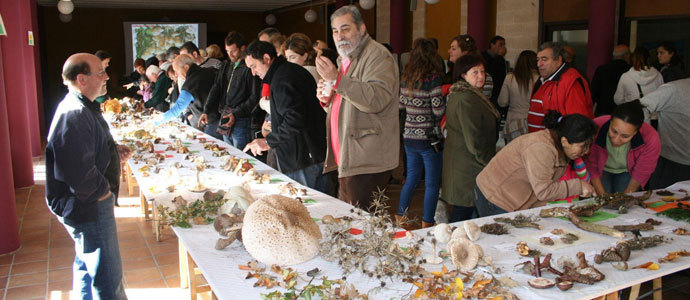 Valderredible celebr las X Jornadas Micolgicas