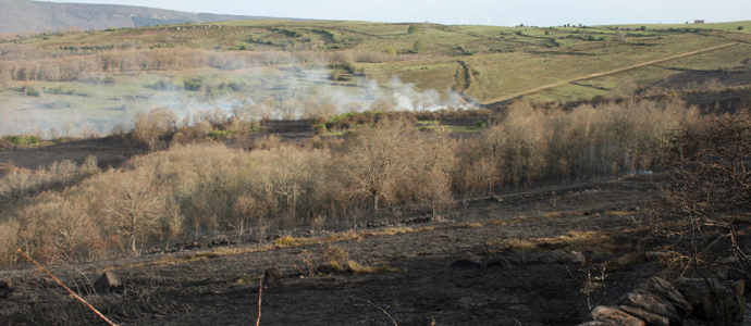 Valderredible regula la proteccin de los espacios pblicos y las medidas contra los incendios forestales