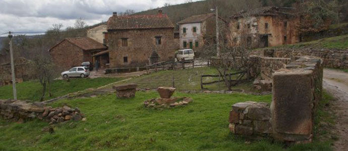 Valderredible subasta un pinar en Quintanasolmo