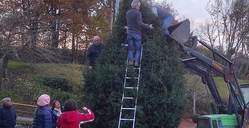 Vecinos de Las Rozas de Valdearroyo decoran un tejo para Navidad con 367 adornos hechos a ganchillo