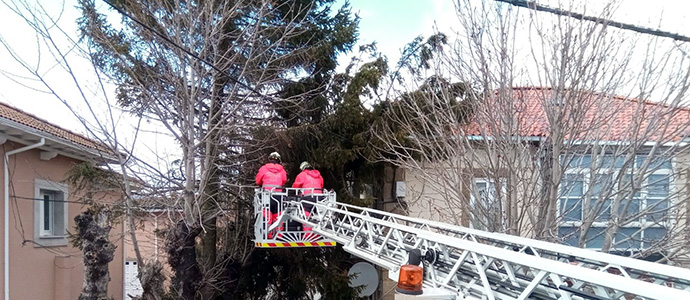 El viento provoca la cada de un rbol de seis metros sobre un tejado en Matamorosa