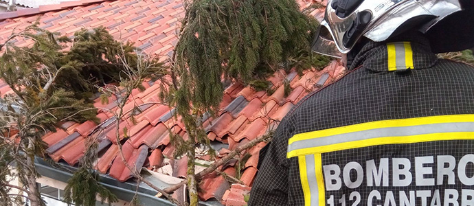 El viento provoca la cada de un rbol de seis metros sobre un tejado en Matamorosa