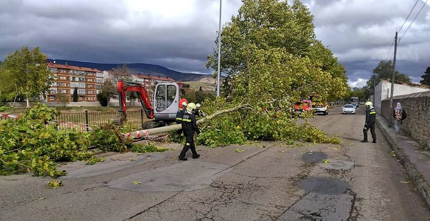 El viento provoca varias incidencias en Reinosa