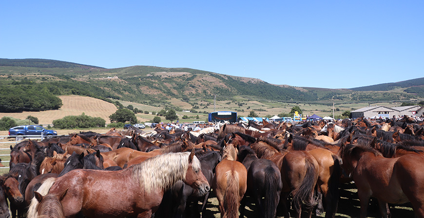 Villasuso celebra la Feria de Ganado y Mercado Artesanal de Campoo de Yuso