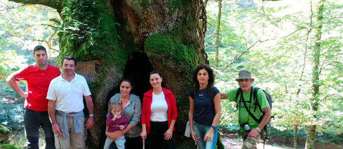 Visita al abuelo del bosque