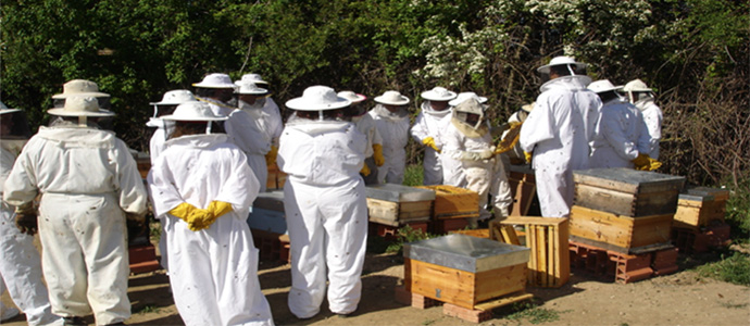 Visita al centro de la 'Miel de Campoo' 