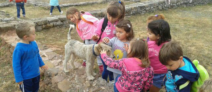 Visita a Julibriga
