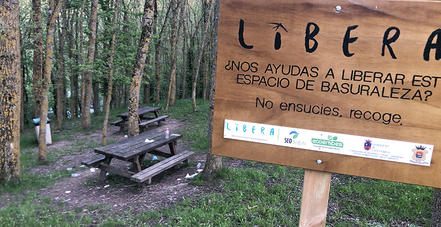 Unos visitantes cerdos por naturaleza