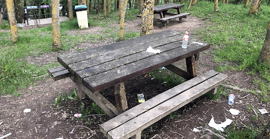 Unos visitantes cerdos por naturaleza