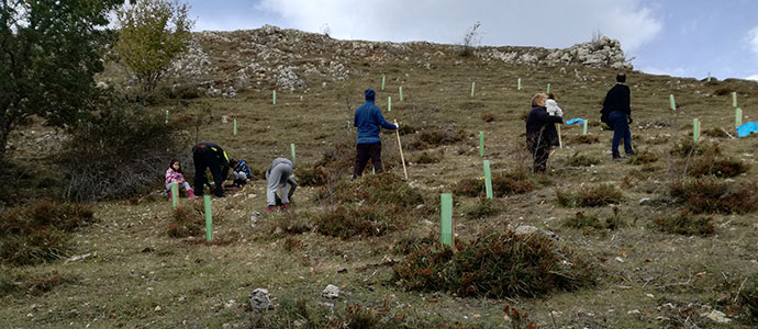 Los voluntarios de Provoca crean una orla forestal en la Guariza