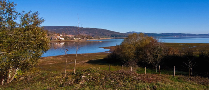 Los voluntarios de Provoca plantarn un microbosque junto al Pantano del Ebro