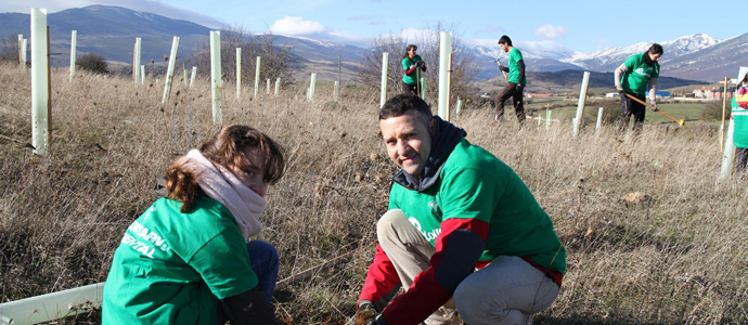 Los voluntarios de Provoca plantaron rboles en la zona del Pozo Pozmeo y las Tradas de Reinosa