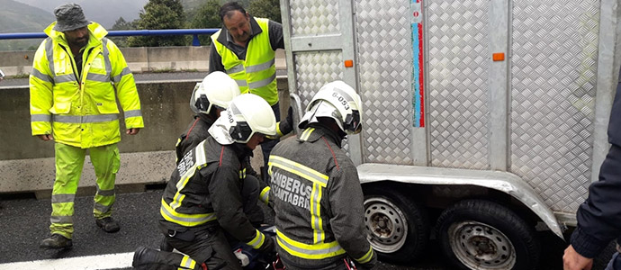 Vuelca un remolque cargado con dos terneros en la A-67, a la altura de Arenas de Igua
