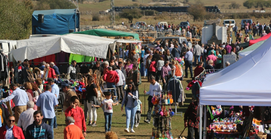 Vuelve la Feria de Ao a Campoo de Enmedio