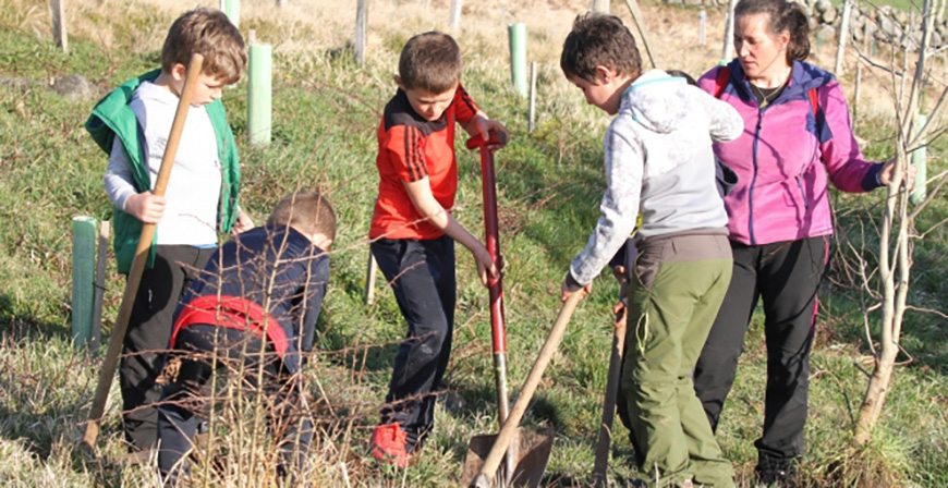Yuso conmemora el Da del Arbol regalando lotes de ejemplares autctonos