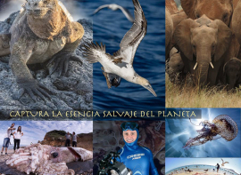 Abiertas las inscripciones para el Workshop de iniciaci�n a la Fotograf�a de Naturaleza