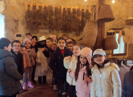 Un acercamiento al sector primario