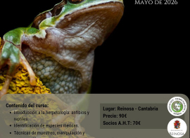 La Asociaci�n Tim�n celebra un curso de herpetolog�a del 1 al 3 de mayo en Reinosa 