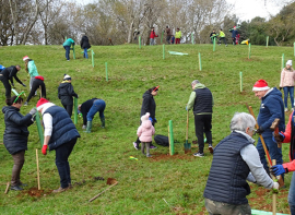 Cab�rceno acoger� cuatro jornadas de plantaci�n de �rboles aut�ctonos