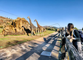 Cabrceno registra casi 20.000 visitas en el puente de mayo