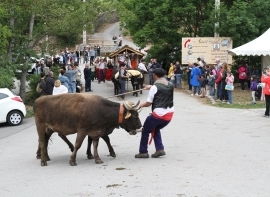 Los Campanos en Abiada