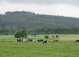Cantabria amplia hasta el 15 de mayo el plazo de la Solicitud �nica 2026